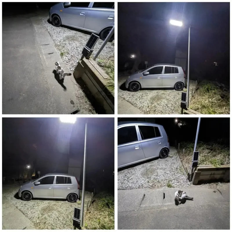 Solar Flood Light – 250W 8000LM Motion Sensor